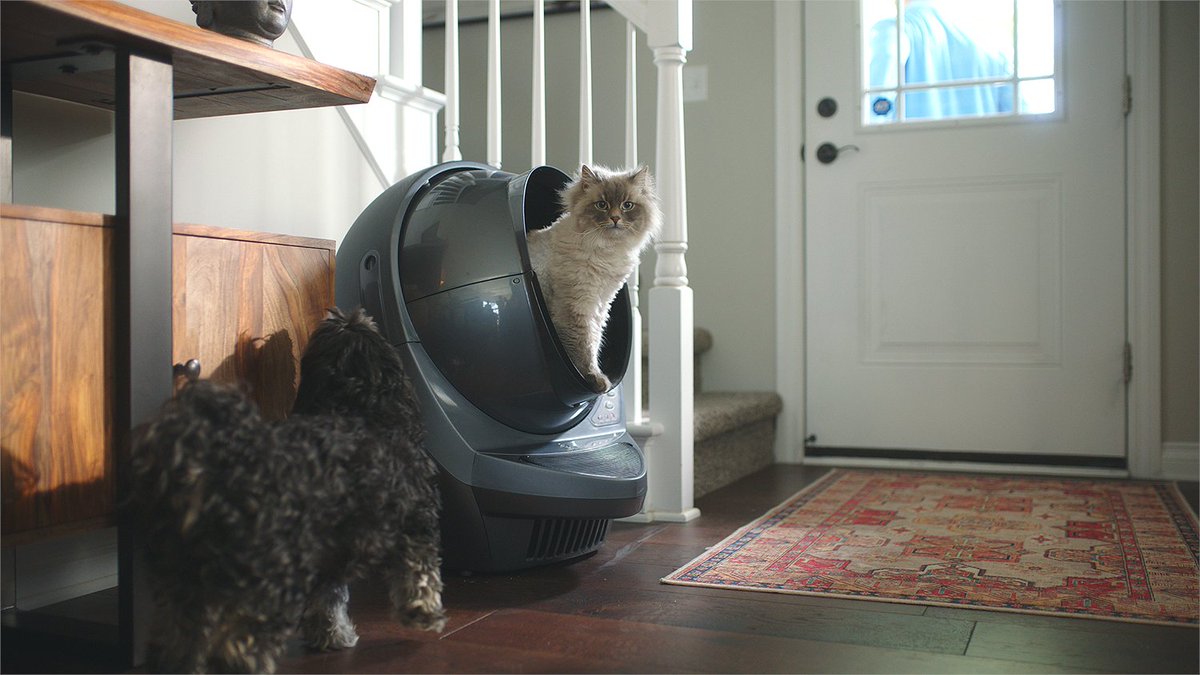 Litter_Robot's tweet image. #LifeHack: Keep the dog out of the litter box. 🐶👍 Set the Litter-Robot timer to 3 minutes so those kitty &quot;treats&quot; quickly disappear. 😂

#PetHack #Cats #Dogs #Litterbox