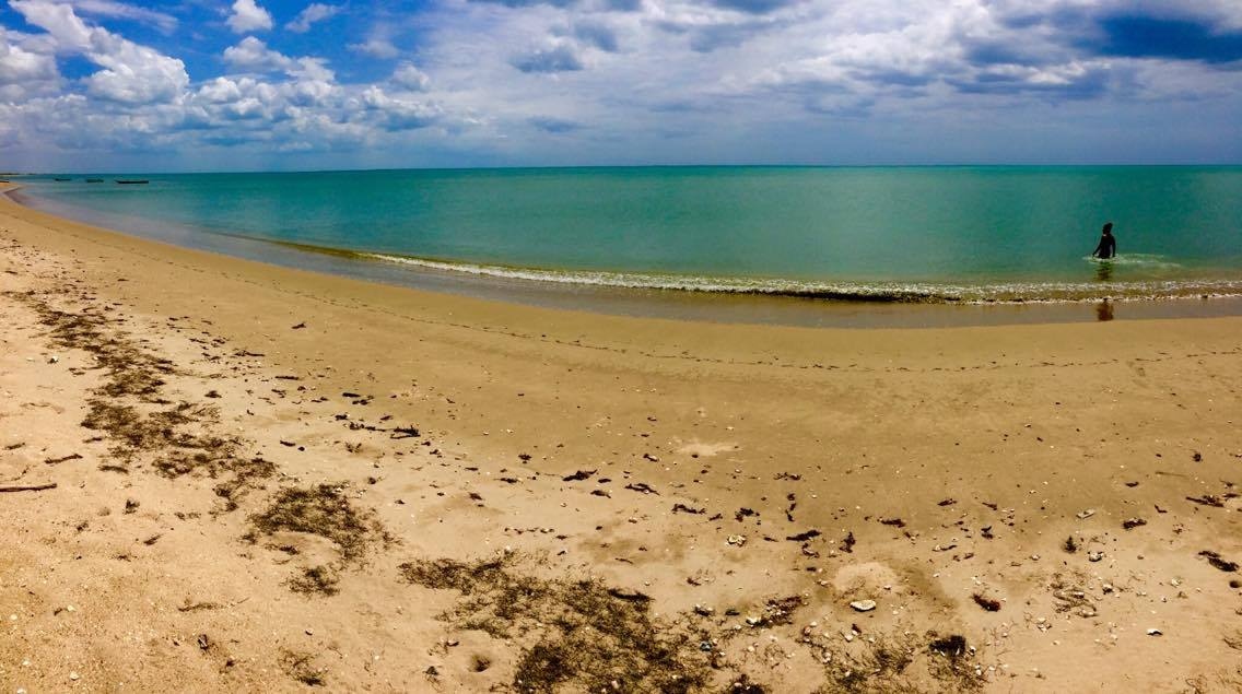 asawaa_'s tweet photo. Desierto y mar.⁠
⁠
⁠
#Planbacano #Experiencia #Sabesabroso #Destilados #Saborlocal #Saborguajiro #Sabroso #LaGuajira https://t.co/kpvW23d1SW