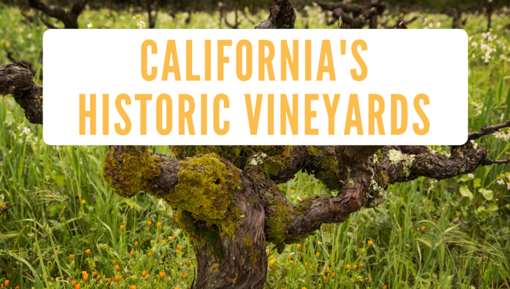 SommCon's tweet photo. Learn about some of the most historic wineries in California as @angeladgargano shares the magical history behind Monte Rosso, Old Hill, Evangelho & Bedrock Vineyards. #californiawinemonth
💻 California's Historic Vineyards
Tune in on #SommGo at https://t.co/7FWOph9gcK https://t.co/m12wTgSa6R