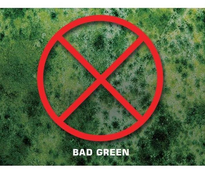 Mold spreads quickly, so a minor mold infestation can quickly escalate into a major problem. We’re dedicated to responding immediately when you contact us. A fast response lessens the damage, limits further damage, and reduces cost.