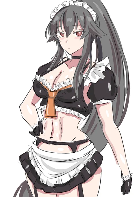 メイド衣装もイラスト本作りたい欲が凄いのでやりたいこといっぱいでアカン 