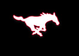 _Datboydomo's tweet photo. This is Dominic Bailey with 2021 Westfield Football. We are raising money for our program. Please click the link below to donate and help me reach my goal of $450. Thank you in advance for your generous donation!
 https://t.co/yy479oIo6h https://t.co/TrcnrOBJUa