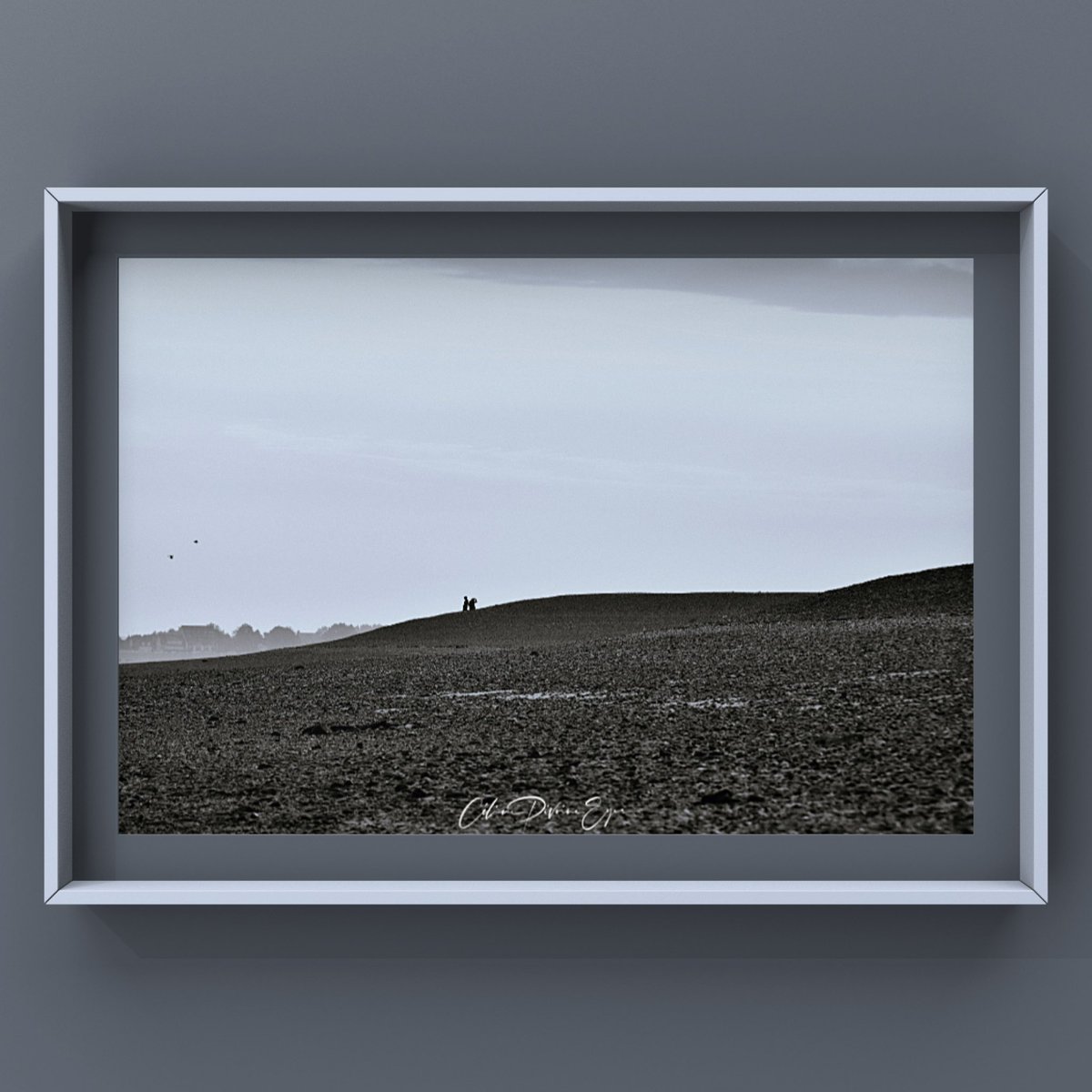 CelinePivoine's tweet photo. La dune de galets
📩 Infos & tarifs en DM
#streetphoto #streetphotography
#diplôméeip #artmajeur #photographe #photo #creativeentrepreneur #destinationphotographer #photographer #femmephotographe #prodiart #revueepic #baiedesomme #pointeduhourdel #galets #plage #nord #ciel https://t.co/RJC57kMAVt