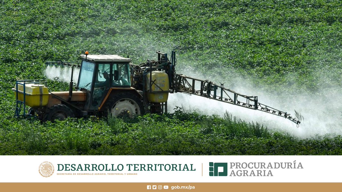 PAgraria's tweet photo. #CosechandoMetas🚜🏁
Contra #Glifosato🥀🥊
Desde el mes de octubre de 2020, la #ProcuraduríaAgraria💚 forma parte del Comité Directivo del Grupo Intersecretarial de Salud, Alimentación, Medio Ambiente y Competitividad, #GISAMAC, la agrupación que erradicará el uso del glifosato. https://t.co/v9kzr9sCQE