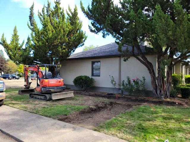 Maslow Project tweet media