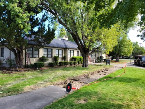 Maslow Project tweet media