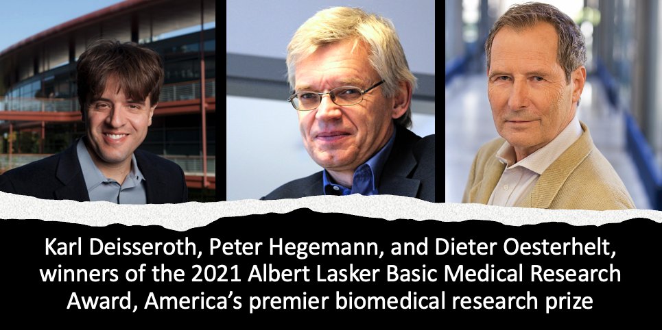 LaskerFDN's tweet image. Join us NOW to see the winners of the Basic Award!—Dieter Oesterhelt of @MPI_Biochem, Peter Hegemann of @HumboldtUni, and @KarlDeisseroth of @StanfordMed—for “light-sensitive microbial proteins and #optogenetics”
laskerawards.live
 #Lasker2021 #LaskerLaureate #LaskerAward