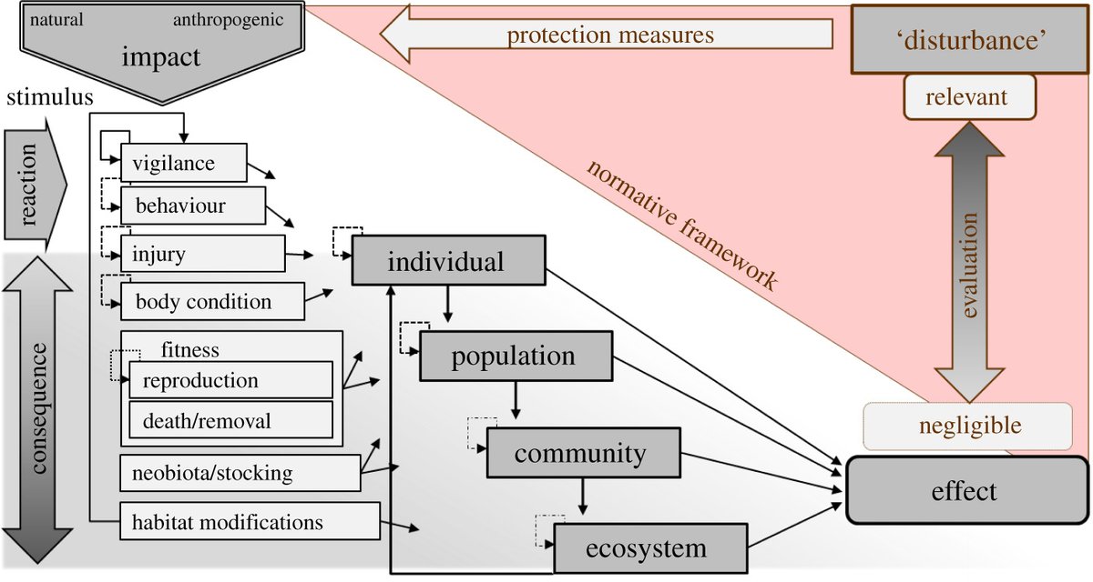 Royal Society Publishing tweet media
