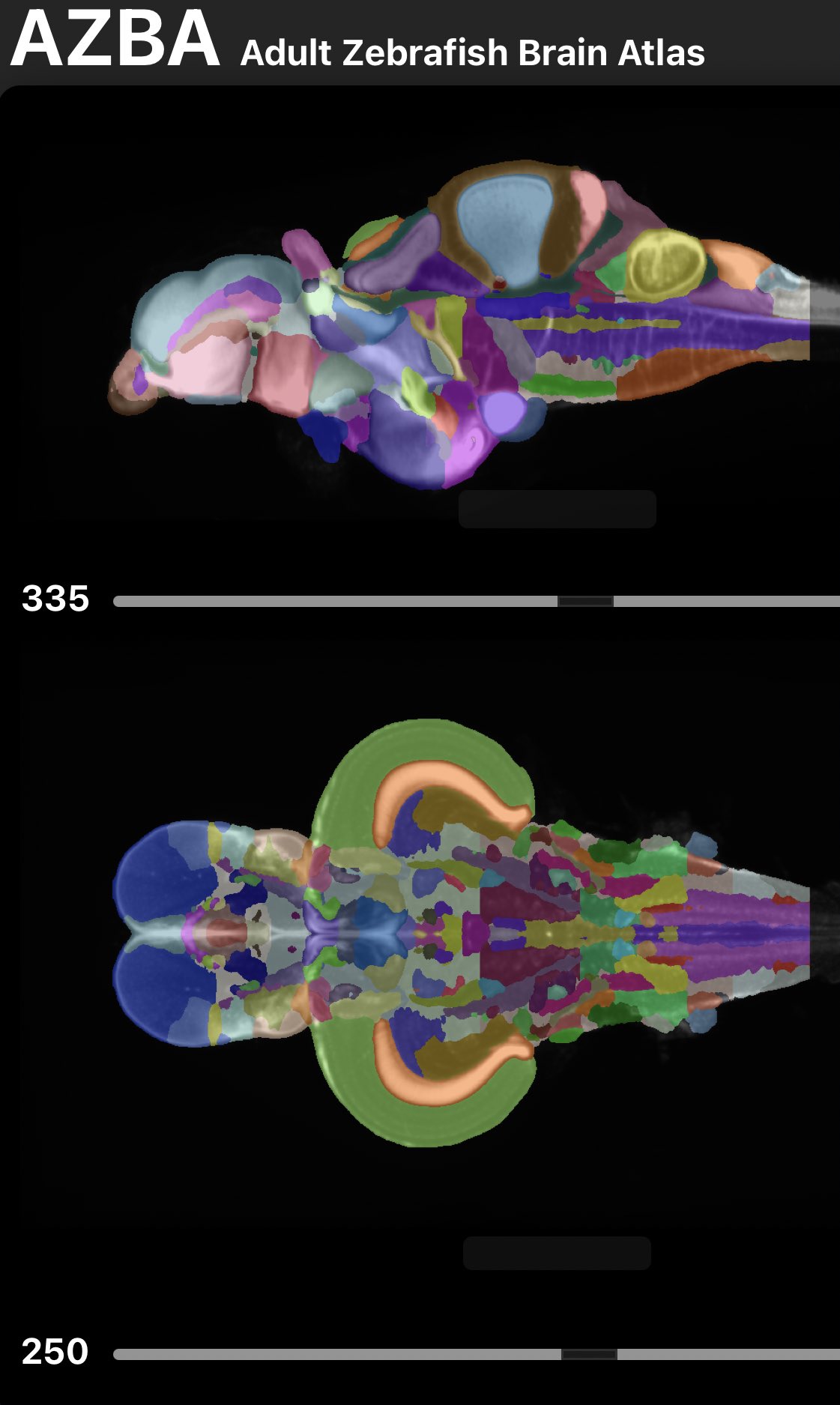 BonZeb: open-source, modular software tools for high-resolution zebrafish  tracking and analysis