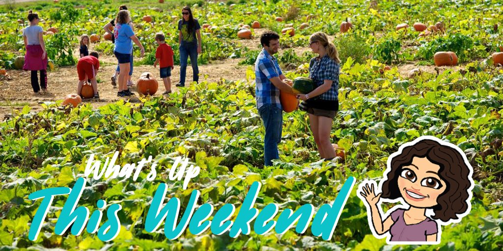 VisitBucksPA's tweet photo. 😀 What's Up This Weekend 9/24 - 9/26 https://t.co/RbmwXQaFdN #ExploreinBucksCo #EatinBucksCo #DrinkinBucksCo #StayinBucksCo https://t.co/pboTuDjYwC