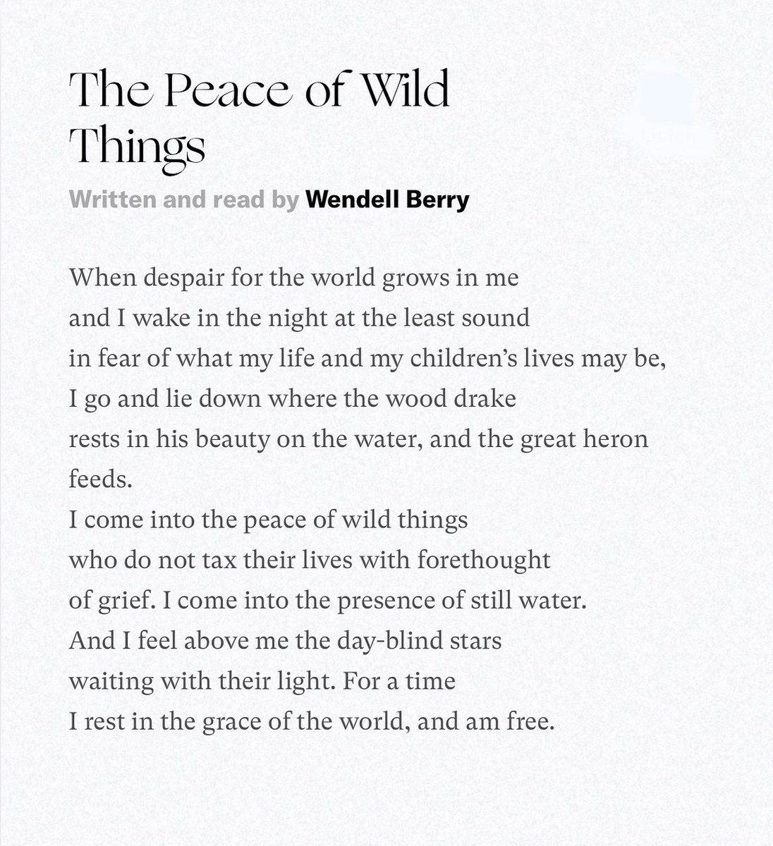 aaronieq's tweet photo. Our family is carrying some heaviness right now, and after sharing about it with a trusted friend, she offered this poem. “I come into the peace of wild things who do not tax their lives with forethought of grief.” Wow. Yes. I need this kind of peace today. Maybe you do too? https://t.co/Zb2XTq9Vvu