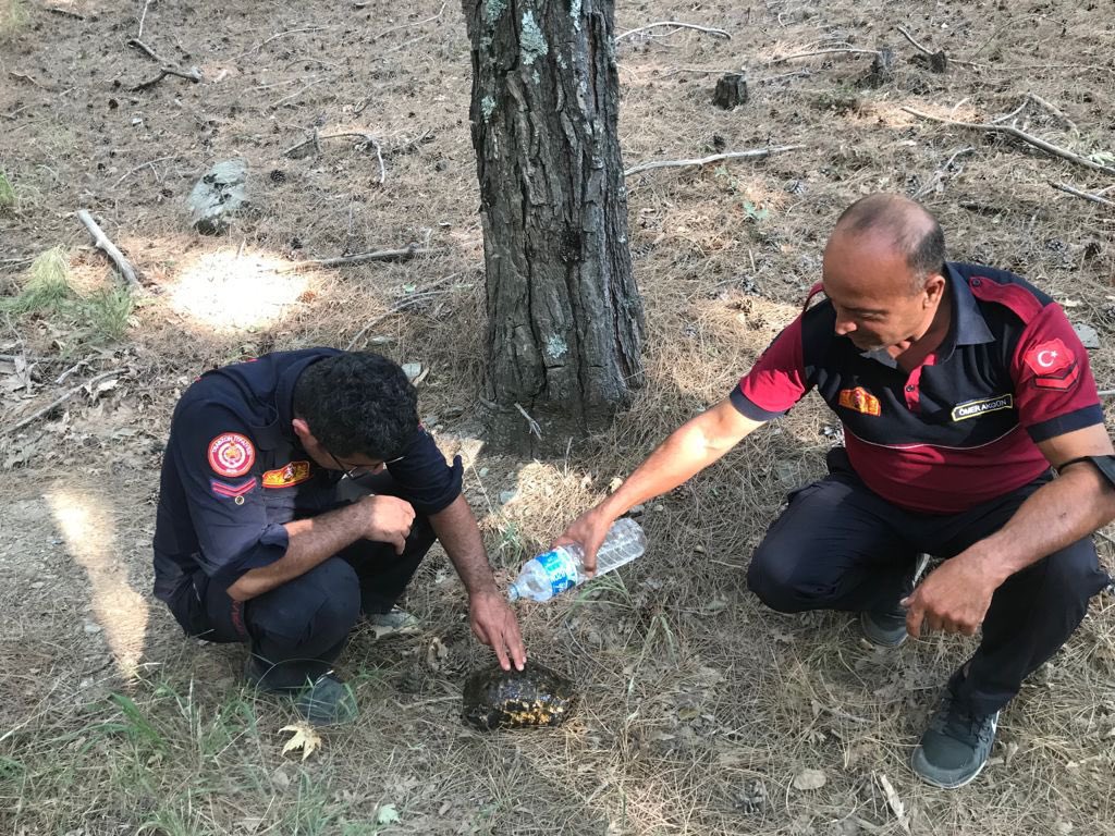 vali_zorluoglu's tweet photo. Canları pahasına her canlının yanındalar…

Tüm itfaiye personelimizin #İtfaiyeHaftası kutlu olsun. https://t.co/8e2OFdADwr