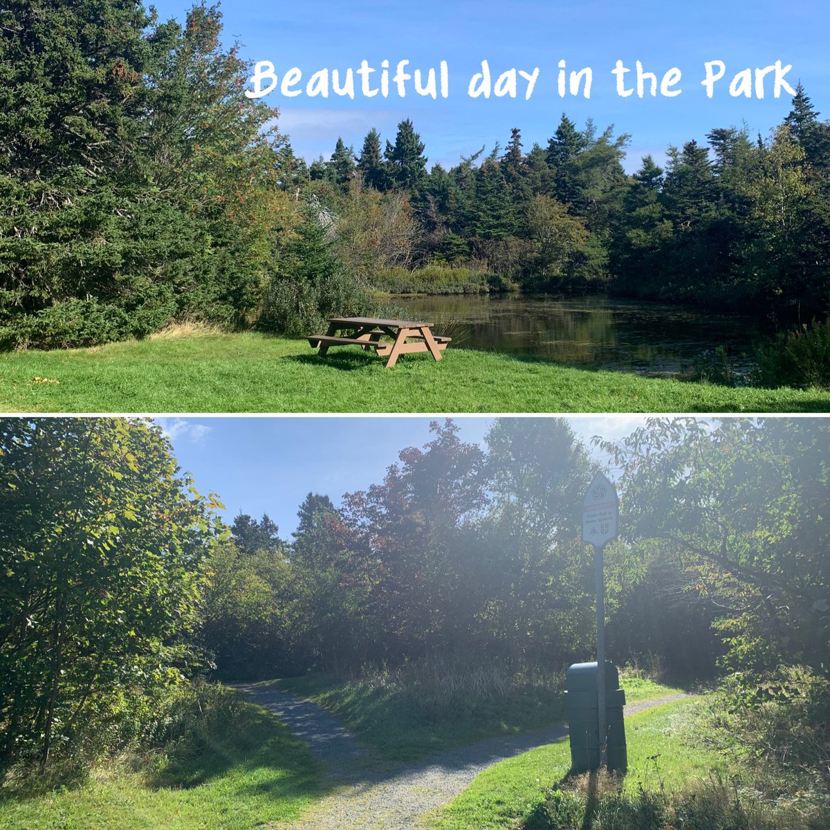 pippy_park's tweet photo. Get out and enjoy this great weather! #pippyparknl #campground #camping #explorenl #atlanticcanada #eastcoastcanada #staycation2021 #stjohnscaptured #stjohnsnewfoundland https://t.co/Hgad8sRb3F