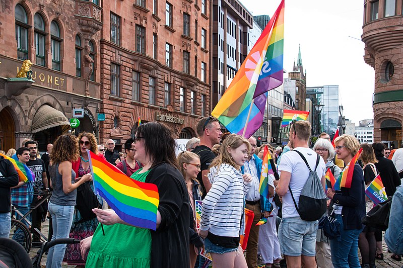 libelblog's tweet photo. Finland is often considered to be among the most progressive countries in the world.
When it comes to trans rights in the country, though, writes @EllinorJuth from @IflryHR, a lot still needs to be done: https://t.co/qDjytBXfsN https://t.co/qusJWw9M3C