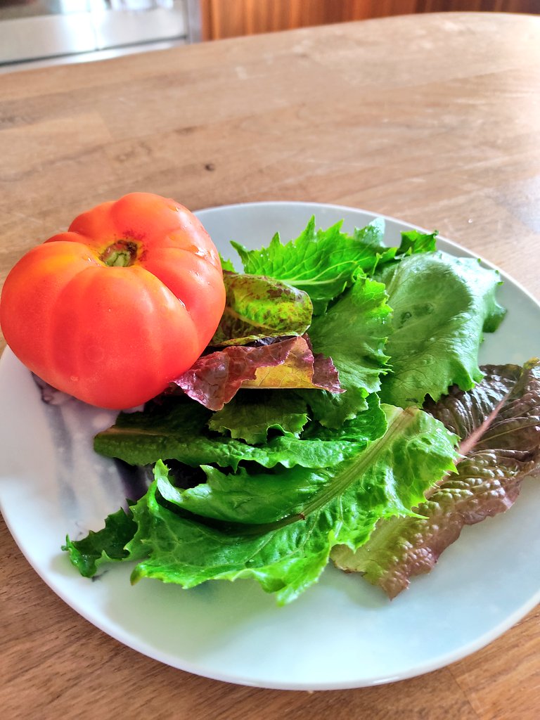 theculinarycelt's tweet photo. This is as fresh as it gets!
Gorgeous organically grown mixed salad leaves and tomato for a lunchtime sandwich with spinach and garlic pesto all from @KillavullenMkt #locallygrown #nosprays https://t.co/gLus1KyfX8