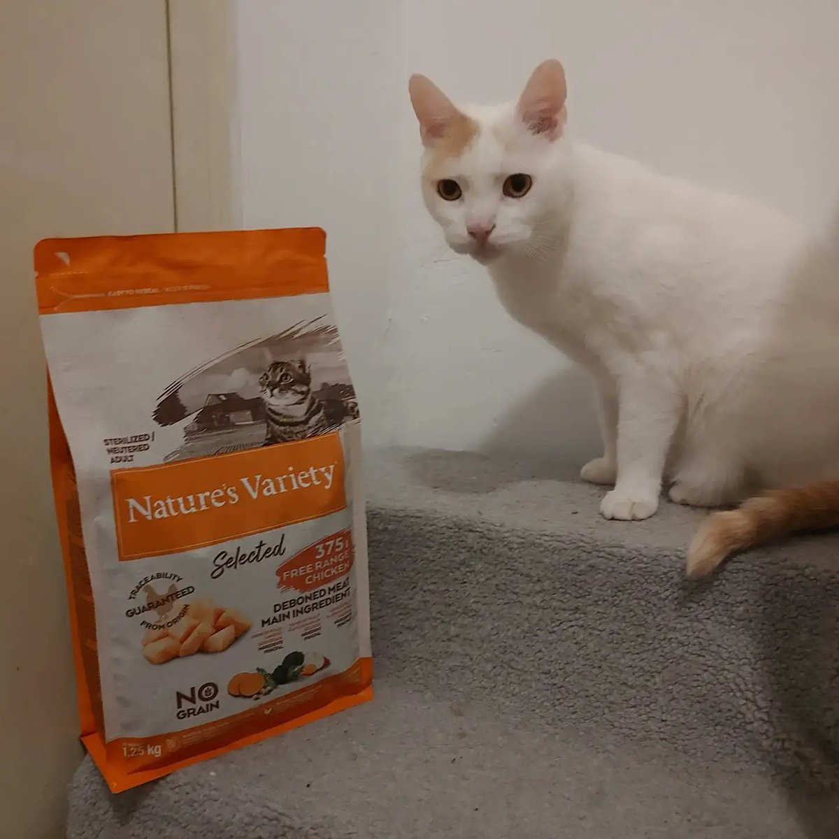 mercesori's tweet photo. Con lo nuevo de @naturesvariety (antes #trueinstinct) #SabesLoQueCome tu #gato. 🐱

Gracias a #NaturesVarietyES toda la colonia se va a poner tremenda. https://t.co/QisGlNPtqy
