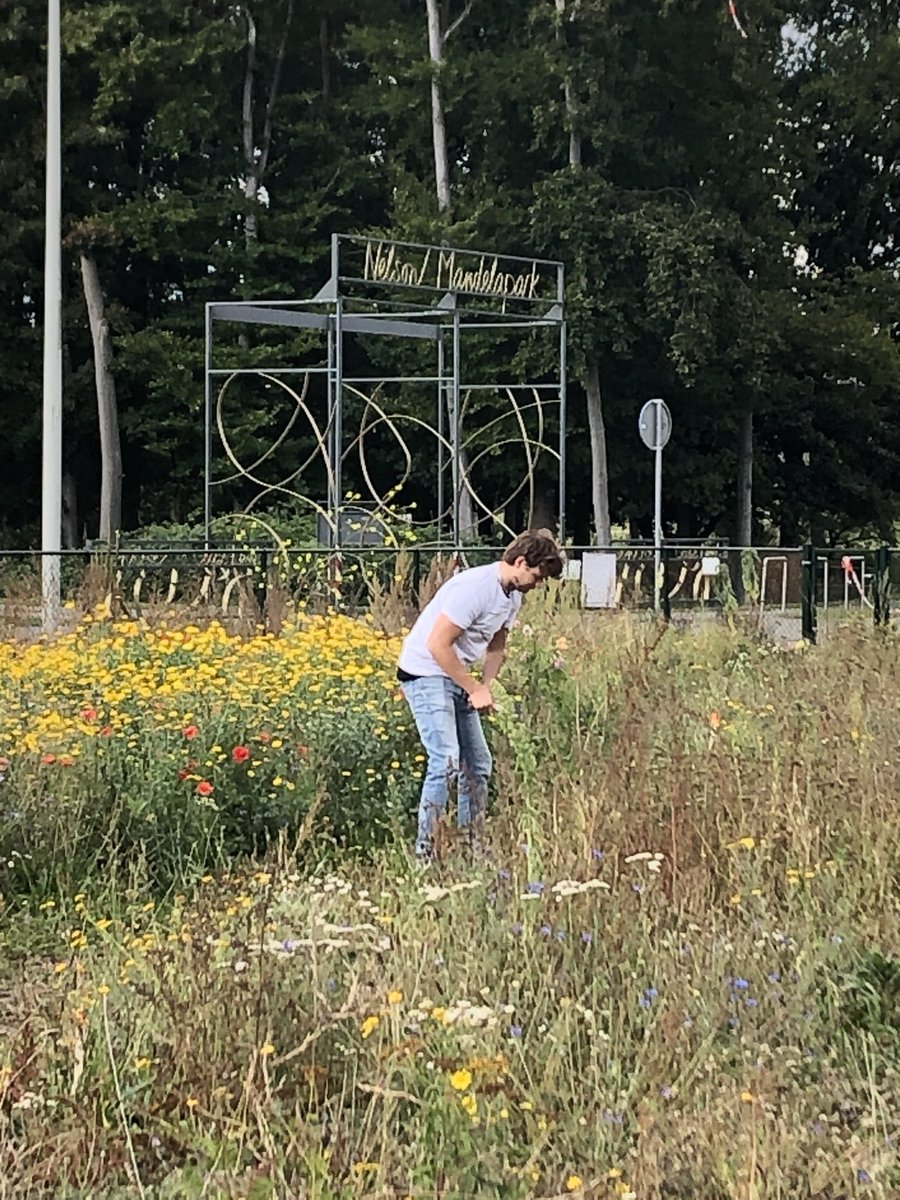 Mandy1603_asr's tweet photo. Weer een mooie maatschappelijke week die erop zit! Met drie dagen @GroeiNL in A’dam Z-O en duizenden bloembollen gepoot voor het @UtrLandschap 💪🏻😃

#helpendoortedoen #medewerkersvrijwilligerswerk #asr #asrdoethet https://t.co/inAgxC2lYt