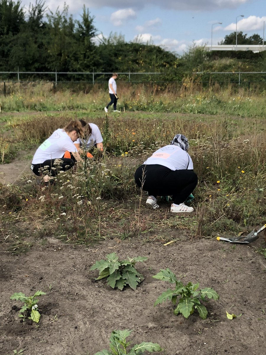 Mandy1603_asr's tweet photo. Weer een mooie maatschappelijke week die erop zit! Met drie dagen @GroeiNL in A’dam Z-O en duizenden bloembollen gepoot voor het @UtrLandschap 💪🏻😃

#helpendoortedoen #medewerkersvrijwilligerswerk #asr #asrdoethet https://t.co/inAgxC2lYt