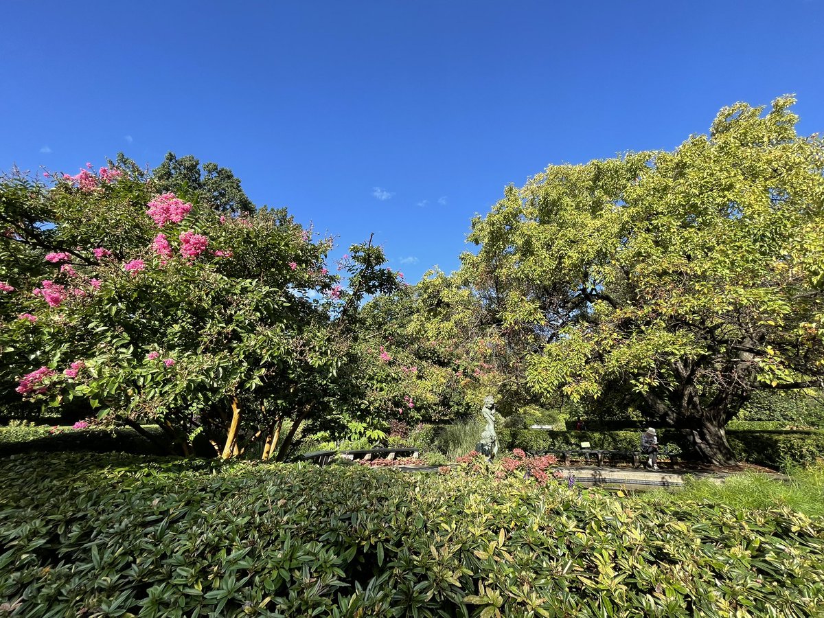 NYCRobyn's tweet photo. After the rain….. a gorgeous day in @CentralParkNYC @My_Cen_ParkNYC @StormTeam4NY top 10 weather day in my favorite part of the park. @agreatbigcity @nycfeelings @NYCParks @NYC #GetOutsideDay #mynewyork #whyiwalk #mycentralpark #centralparkneedsus #supportyourpark @NY4P https://t.co/XS8ZpviPtL