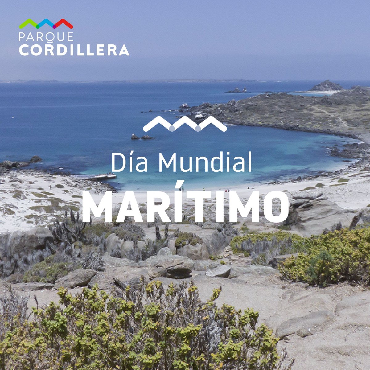 ¿Sabían que Chile tiene una costa de 6.435 km? Hoy es el día mundial marítimo y los invitamos a cuidar nuestras playas con pequeñas acciones en el día a día, como disminuir el consumo de plásticos de un solo uso y de esta manera, evitar la contaminación de nuestras aguas.