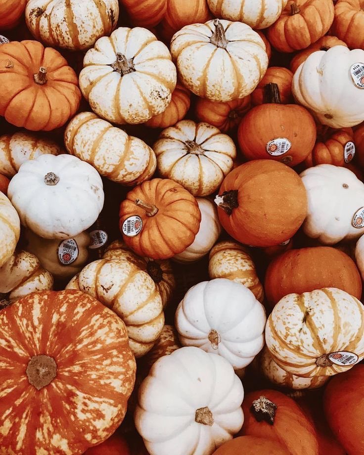 chrisb_nugz's tweet image. it’s gettin cooler so that means it’s time to serve up autumn vibes cuz we kickin the leaves in the autumn breeze 🍁💛✨🍂🥧

[ #StaySelcaDay #SSD #GetCool #StrayKids  #스트레이키즈 ]