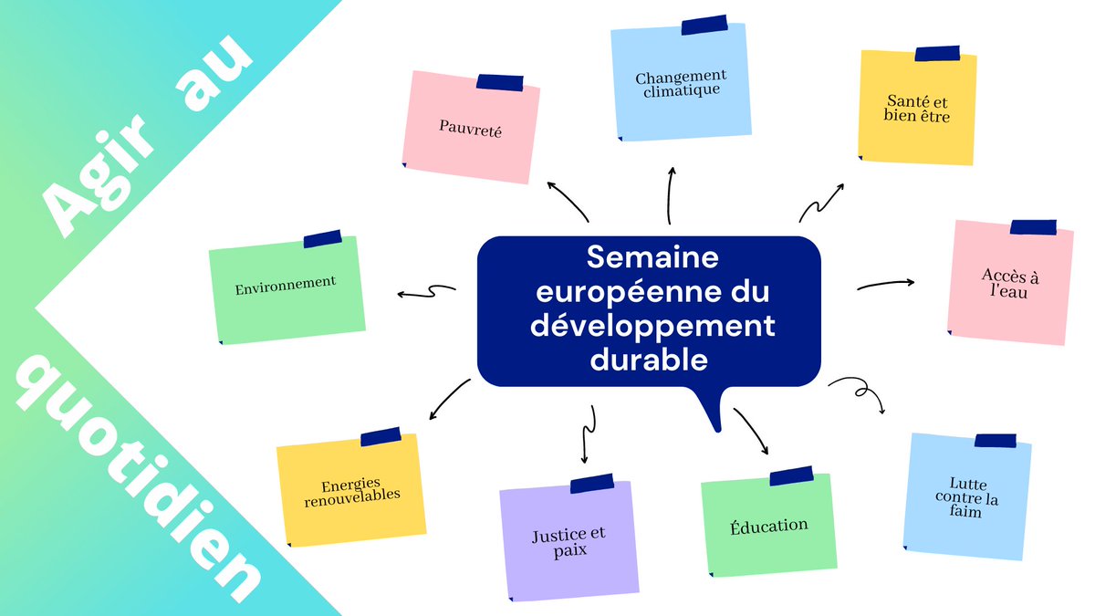 Petrel Commerce Circulaire tweet media