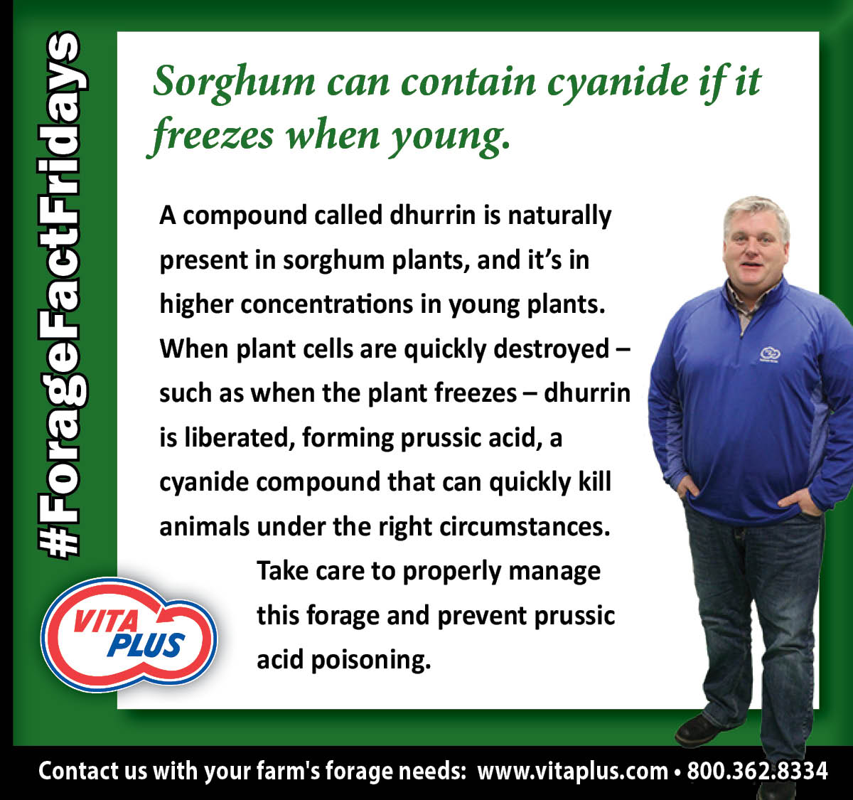 VitaPlusCorp's tweet photo. Alternative #forage crops are getting widespread use in the Midwest. If you are #planting and #harvesting sorghum or sudangrass for your #dairy diets, take note of this week’s #ForageFactFriday. https://t.co/9sYPDlBbk6