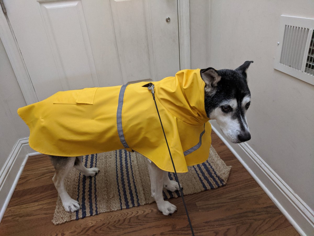 mitchell_pps's tweet photo. @Tyler_Mitchell_ Hang in there and best wishes, T. We got your back. Your nephew Maddox Mitchell sympathizes every time it rains... https://t.co/uMjXSEOEHw