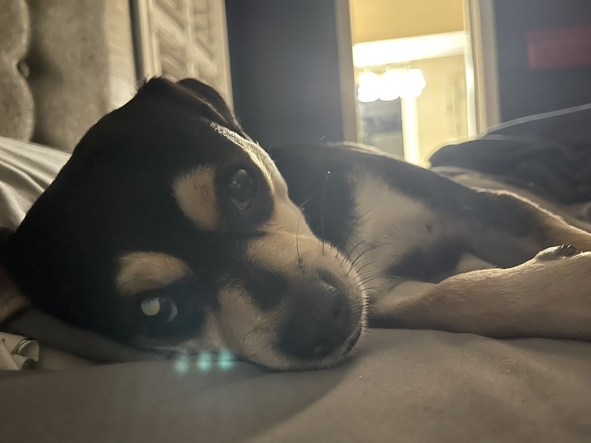 Hey!