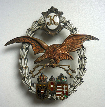 SDKoleksiyon1's tweet image. I. Dünya Savaşı pilot bröveleri.

Türk - Alman - Avusturya&amp;amp;Macaristan.