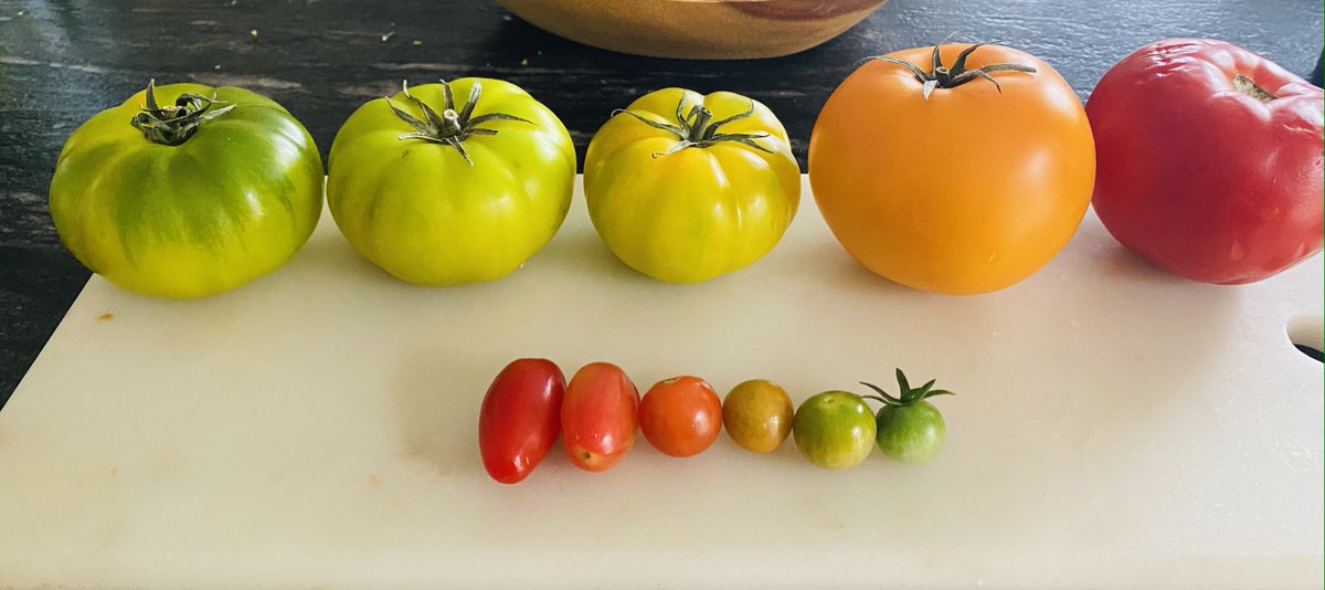 The Languages of Food: Nourshing Stories. FREE event on Oct.20! bit.ly/3CXkTmz photo compliment of Benny B. ❤️