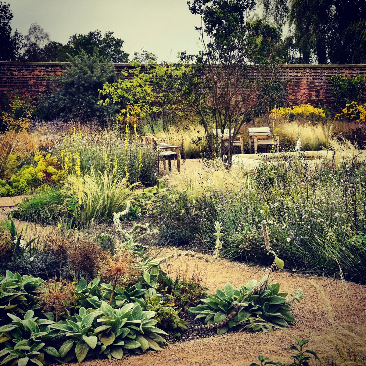 beesgardens's tweet photo. Great visit to @rhsbridgewater garden at the weekend, loved this section of planting in the Paradise Garden and the colours at this time of year. Thanks @esgazelle for organising! #rhs #gardendesign #plantingdesign #gardeninginachangingclimate https://t.co/A91cnx1sIb