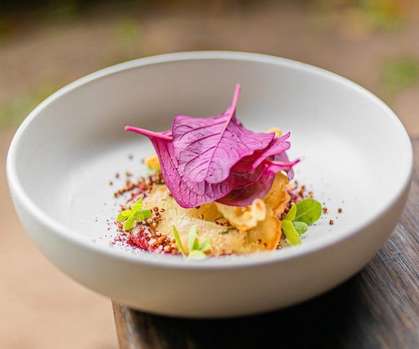 VeganHotels's tweet photo. Discovering Eco Luxury with @soneva via @VeganFoodQuest and @luxurytravel

@Soneva_Kiri @carissanimah @SonuShivdasani @Donnacinbangkok #sonevafushi #sonevajani #sonevakiri #luxurytravel #ecotravel #wastetowealth #ecocentro

https://t.co/lknWkra1Jh https://t.co/lnCazVxagI