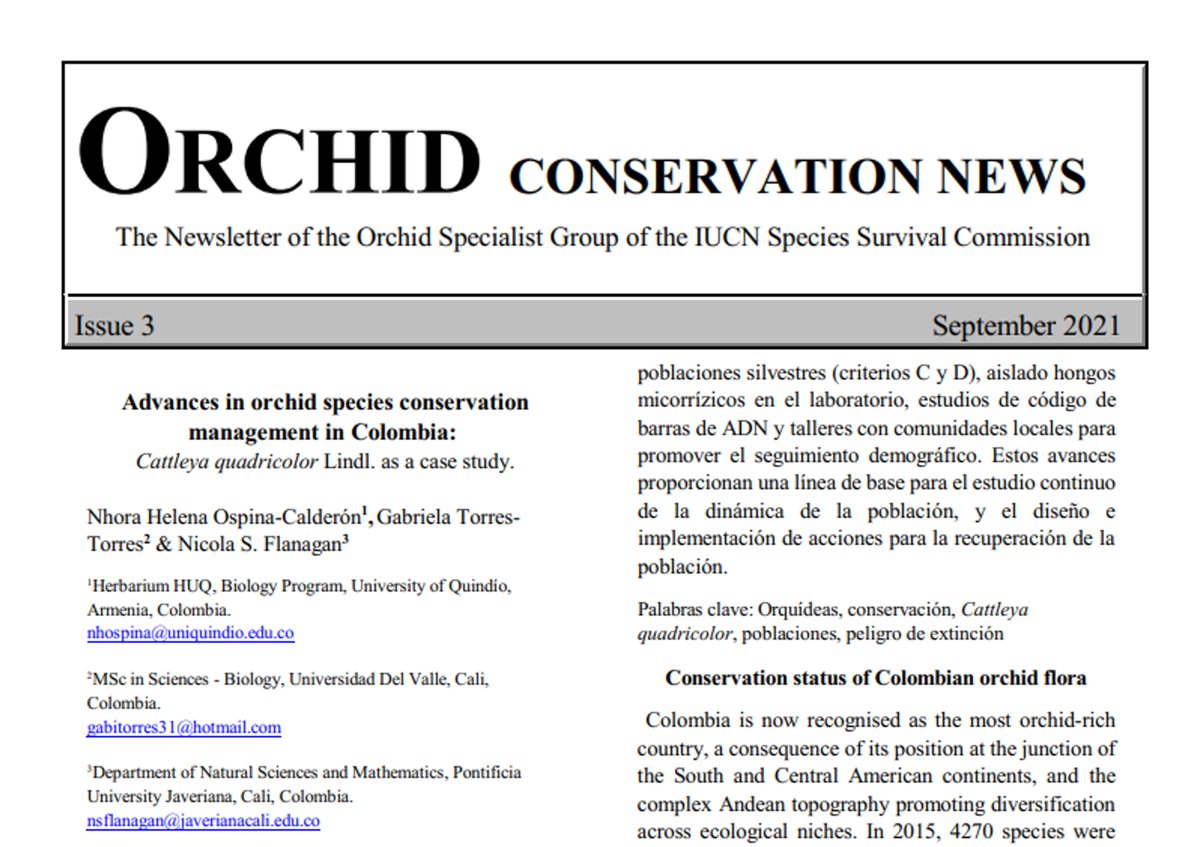 ns_flanagan's tweet photo. How to build effective conservation strategies for species with cross-jurisdiction distributions? In the latest @IUCN_Orchids newsletter, we describe advances in management of the endangered orchid Cattleya quadricolor thanks to broad inter-institutional cooperation @CvcAmbiental https://t.co/glxinNgrq3