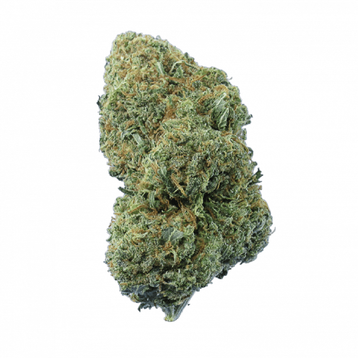 Hempture's tweet image. Hempture BUBBLE GUM is here!
An indica-dominant CBD hybrid that likely originated in the mid-’90s, Enjoy the impact of each sweet, floral hit. These colourful buds don’t just help with creativity!
hempture.ie/shop/hempture-…