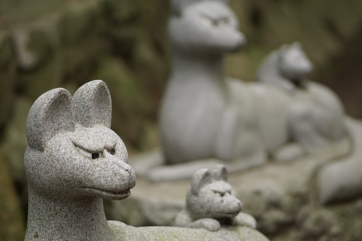 背景ボケ hashtag on Twitter