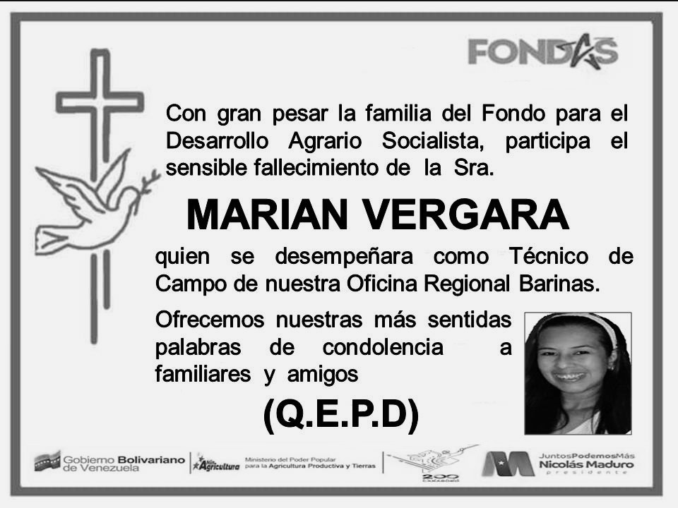 Fondas_Ve's tweet photo. La Familia #Fondas lamenta el fallecimiento del Técnicos de Campo, Marian Vergara de ORF Barinas. 
Vuela alto ✨🕊️✨

"Los que mueren por la vida no pueden llamarse muertos" Ali Primera https://t.co/KkZgKuVIHD