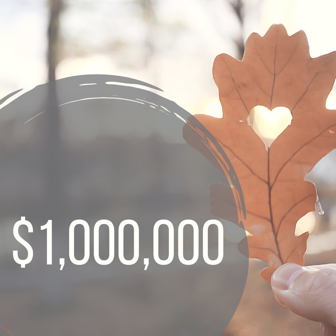 ValleyFoundation tweet media