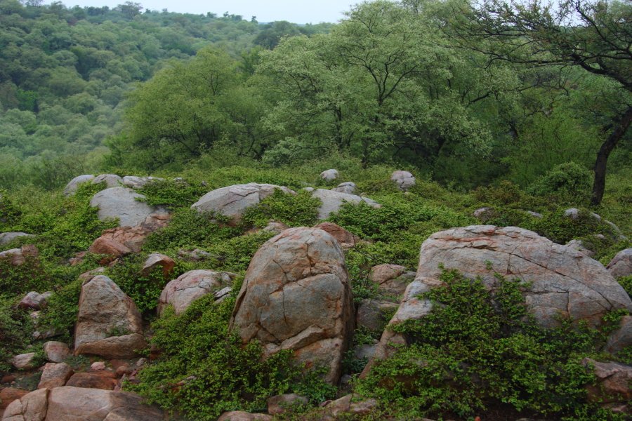AravalliBachao's tweet photo. CITIZENS ASK 3 to #SaveOurAravallis 

Retain all areas recorded as Gair Mumkin Pahad, Bhood in revenue records as legal Aravalli areas as these are critical areas for ground water recharge in water stressed NCR.
@SuPriyoBabul @Haryanavision @ParveenKaswan  
#GlobalClimateStrike https://t.co/L0uEw9j7Z4