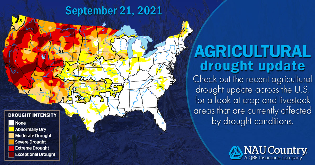 naucountry's tweet photo. The USDA produces an “Ag in Drought” bulletin to detail specific crops and livestock that are currently affected by drought conditions. Read more to see the latest. https://t.co/lYSOCaoGF1.
#NAUCountry #AgInDrought #USDA #Drought #Dry #Farmers #Ranchers #CropInsurance #Agents https://t.co/MmTA6jrOMf