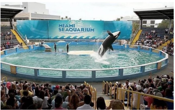 Anna Strandh tweet media