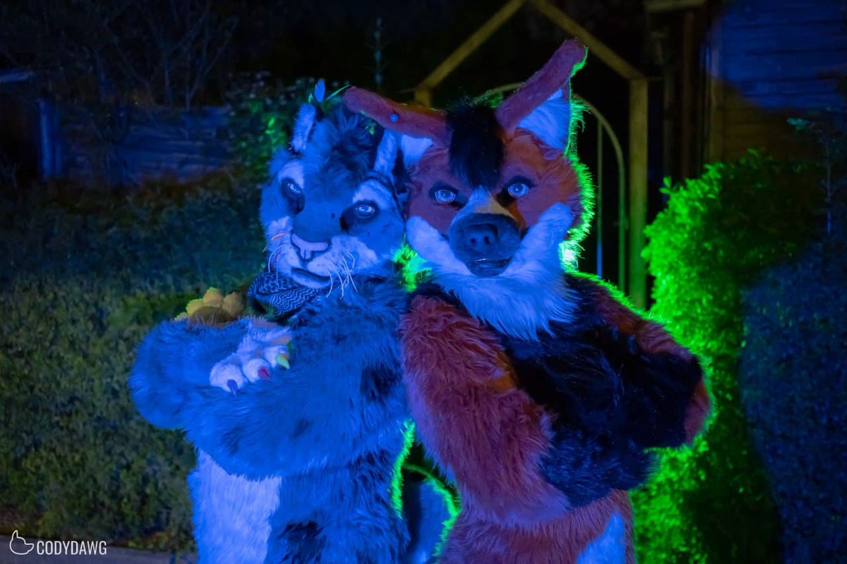 Finally a great Stammi again after over 1 year <3 @DortmundFurmeet 
And a really great picture of me and <a href="/MervSerg/">Merv</a> From <a href="/Codydawggo/">Codydawg</a> thank you ;)
#furry #furries #fursuit #FursuitFriday