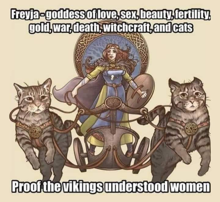 AndyTay60536072's tweet photo. Happy Freyas day day you awesome bunch....
#NEVERTRUSTATORY 
#GTTO 
#LOVEISALLUNEED https://t.co/YSoagsJScb