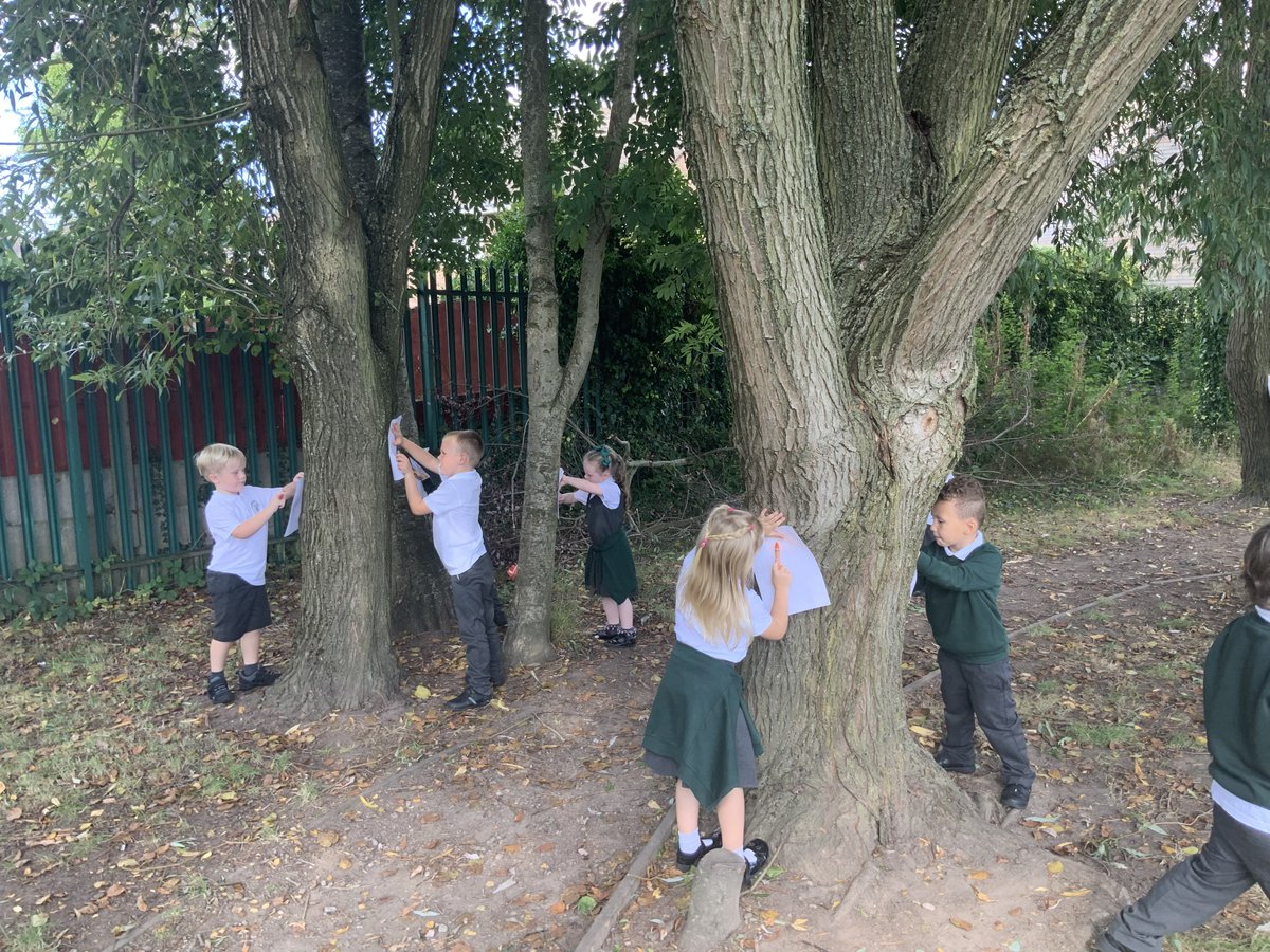 Plant_MrsChad's tweet photo. Our class are enjoying our Science topic on plants. They used a classification chart to identify trees around our school. https://t.co/xiWJVCYWlO