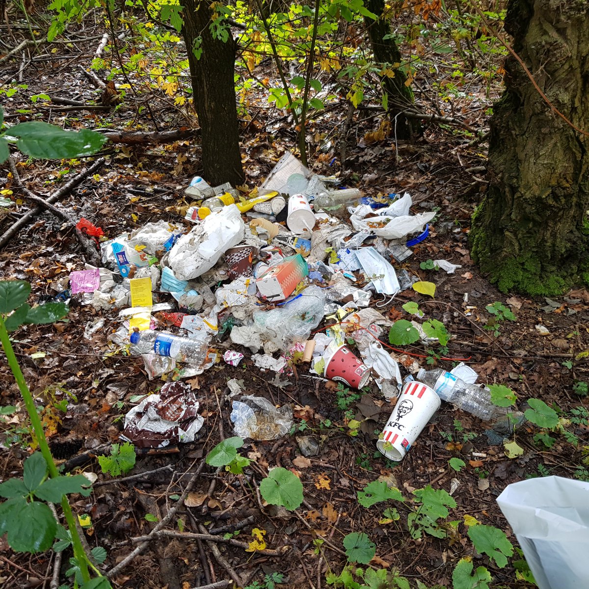 clariant's tweet photo. As part of the #MainCleanUp campaign, 40+ colleagues in Frankfurt 🇩🇪 joined forces to clean up the banks of the Main river at the Industrial Park Höchst. Big thanks 🙏 to our #realpeopleofclariant for this great initiative which resulted in the collection of 45 bags of garbage. https://t.co/T2CnpgF9mX