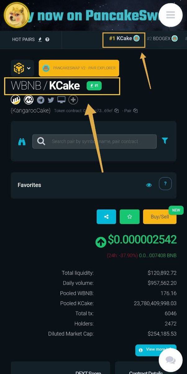 #KCAKE rank 1 on #Dextools