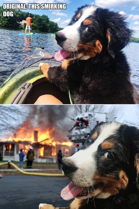 New wasteland studio puppy on the way! https://t.co/xAMxT9D962<a href="/tag/sex"class="tags"><span>#sex</span></a><a href="/tag/humor"class="tags"><span>#humor</span></a><a href="/tag/dating"class="tags"><span>#dating</span></a><a href="/tag/abstaining"class="tags"><span>#abstaining</span></a>