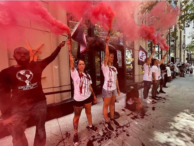 Yves Saint Laurent goes fur free!!! Last month I participated with activists &amp; The Coalition to Abolish the Fur Trade in 8 straight days of activism against YSL and today they announced they will go fur free. One major retailer down but the fight goes on, next up is Moncler.
