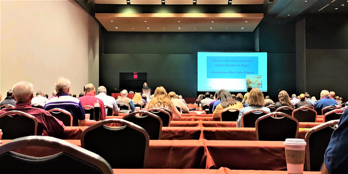 AGSExpoServices's tweet photo. Offer a live-event, and they will come! Attendance and onsite registration are booming at #SWVS21. 🐴🐶🐄 #SWVS @SWVS https://t.co/FRRiQXzVca