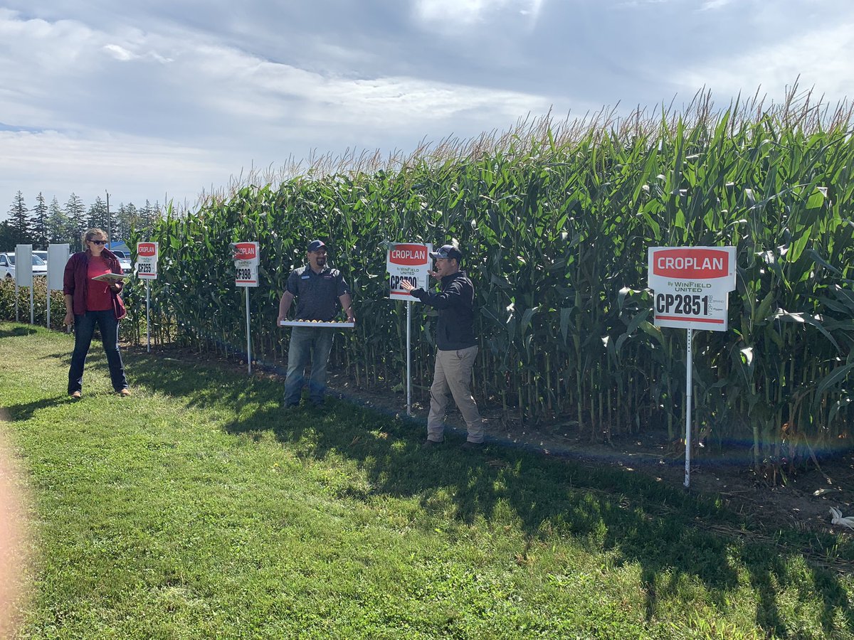 Thrower_Matt_'s tweet photo. It’s another #CROPLANFriday today. The entire @WinFieldCanada Eastern team is busy educating sellers and growers on the WinField advantage. Come visit us today at #CropStop21 taking place @outdoorfarmshow #WinPak #ReponseToScores #Ontag #QcAg https://t.co/GLkvG1nSgI